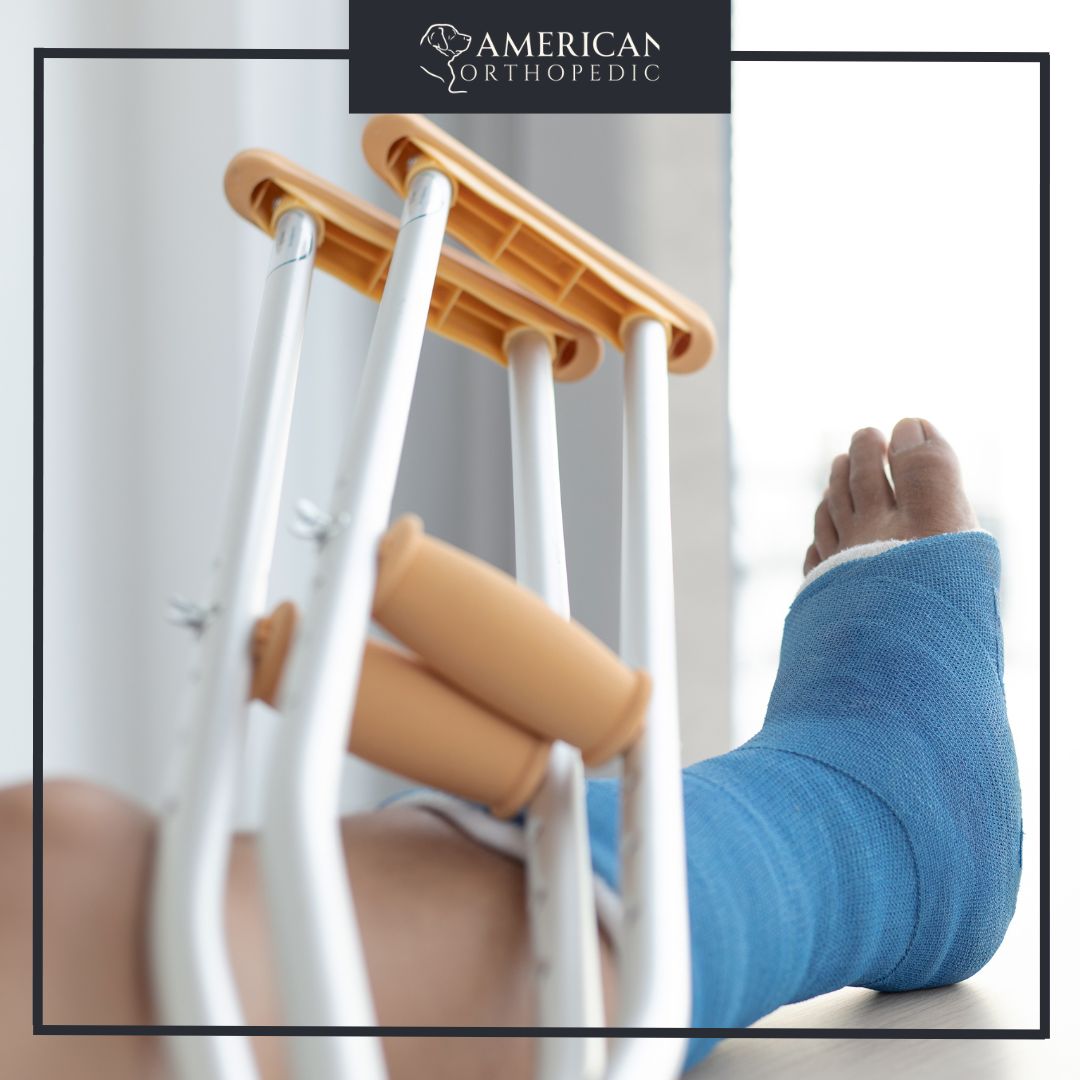 fracture care American orthopedics
