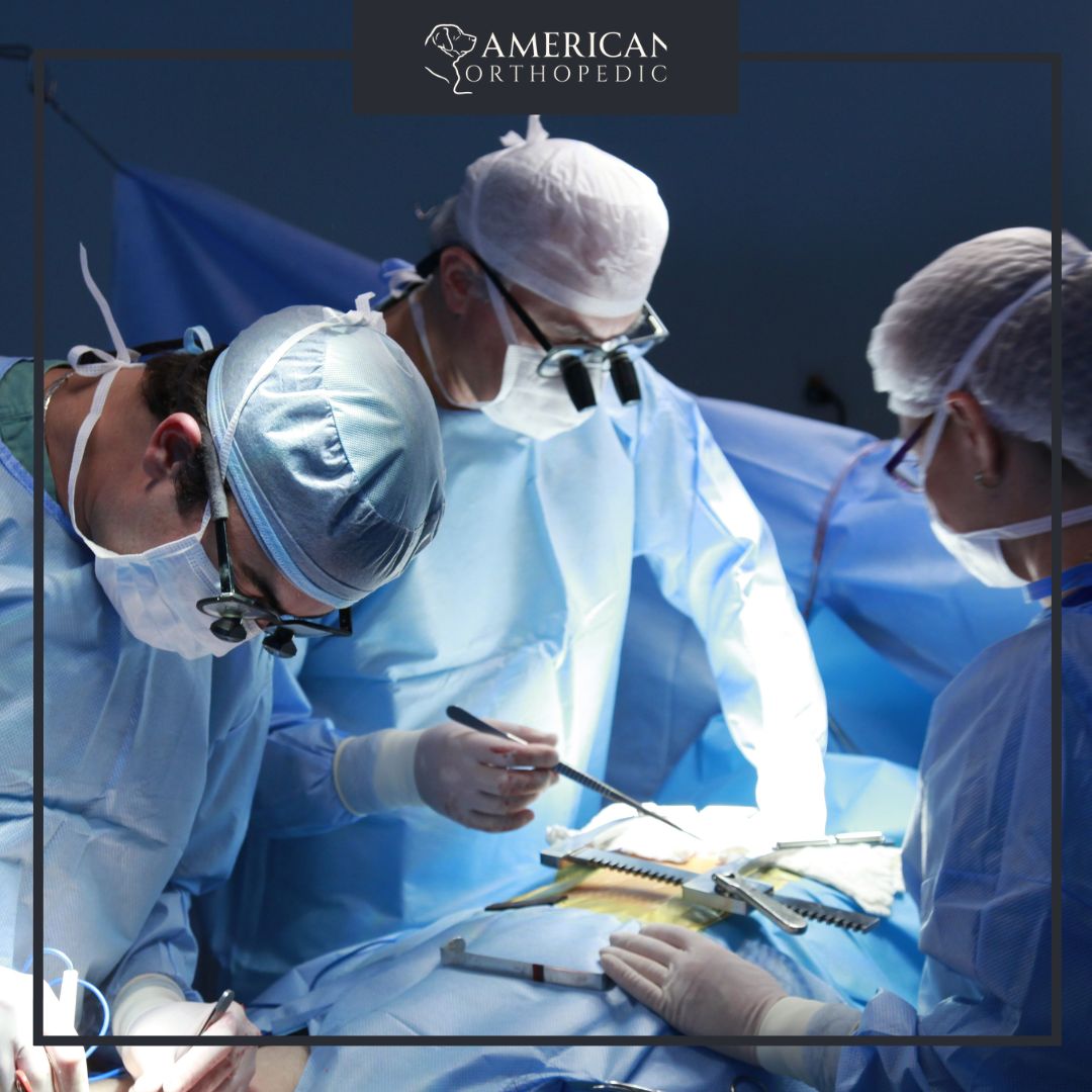 orthopedic surgery American orthopedics