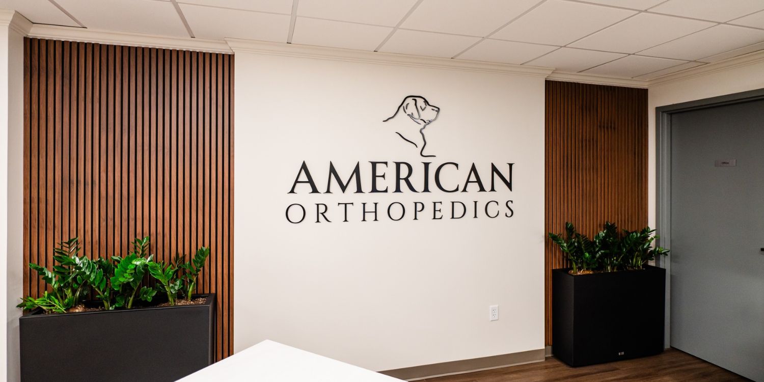 American Orthopedics office and logo wall in Greenville, South Carolina